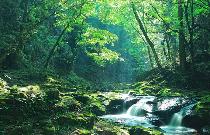 三重県 赤目温泉 隠れの湯 対泉閣 公式